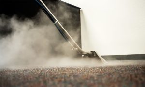 Steam Carpet Cleaning San Diego