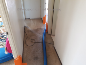 Green Carpet Cleaning Scripps Ranch 92131
