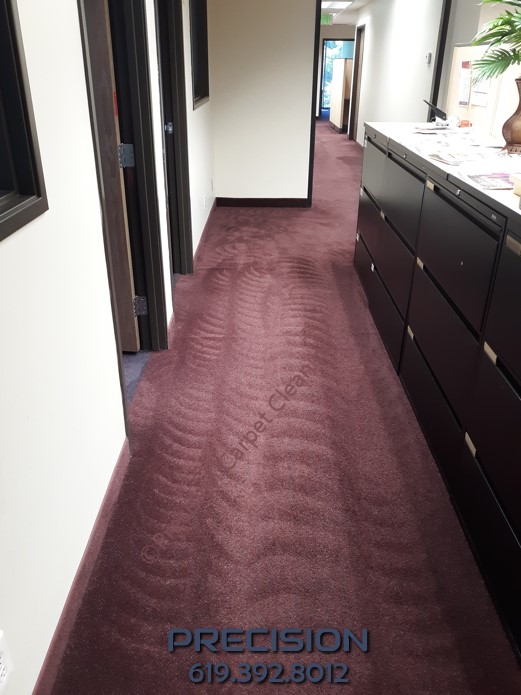 Sorrento Valley Commercial Carpet Cleaners